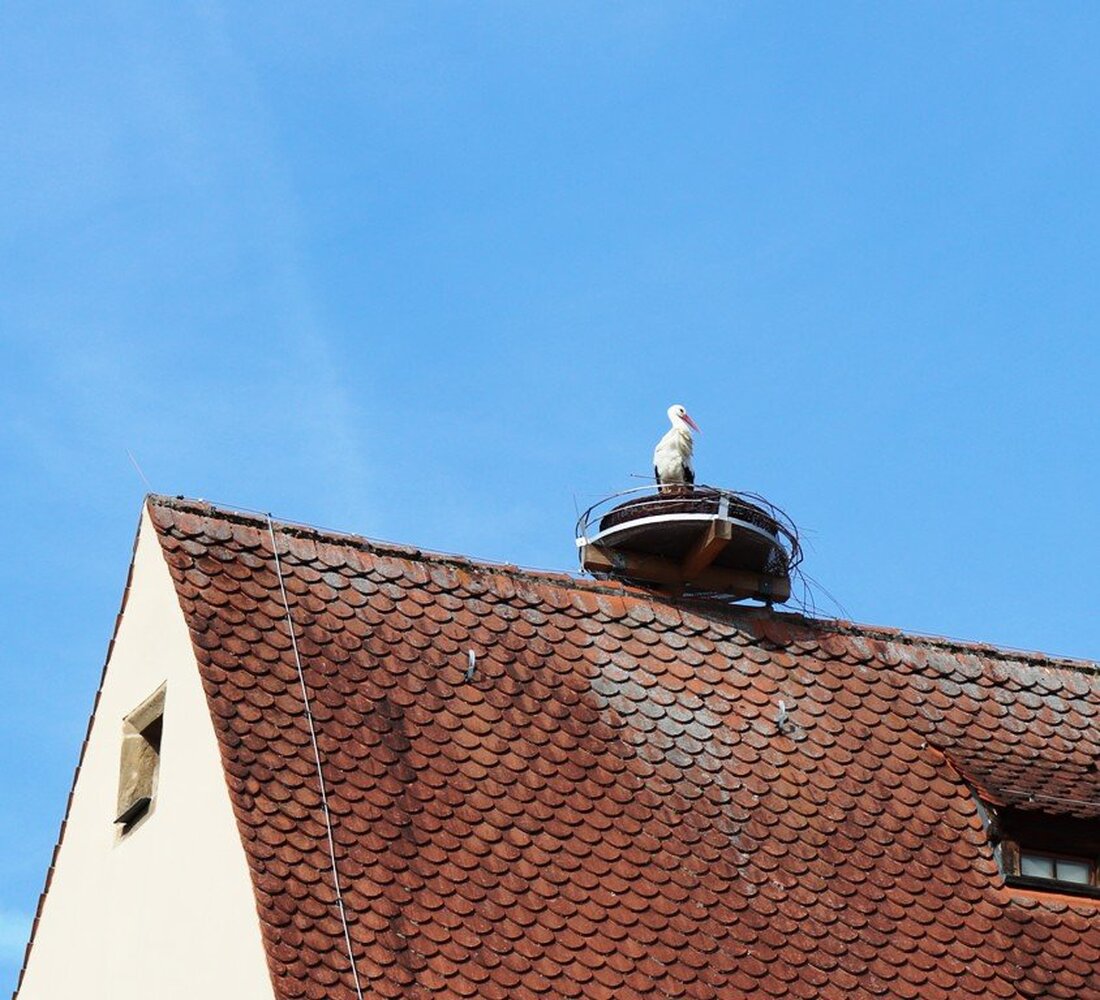 Grafenwöhr. In Windeseile verbreitete sich die Nachricht im Rathaus: auf dem Kastenhaus, in dem neu angebrachten Horst ist ein Storch angekommen. Von Doris Mayer-Englhart “Bereits seit einer Stunde sitzt er [&hellip;]