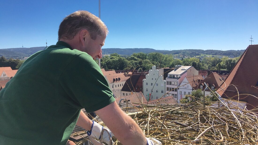 Weiden. Jetzt ist der neue Stochenhorst auch umzugsfertig und bequem! Im kommenden Jahr soll mit der Sanierung des maroden Dachstuhls des Rathauses begonnen werden. Nachdem die Arbeiten auf dem Dach ganzjährig [&hellip;]