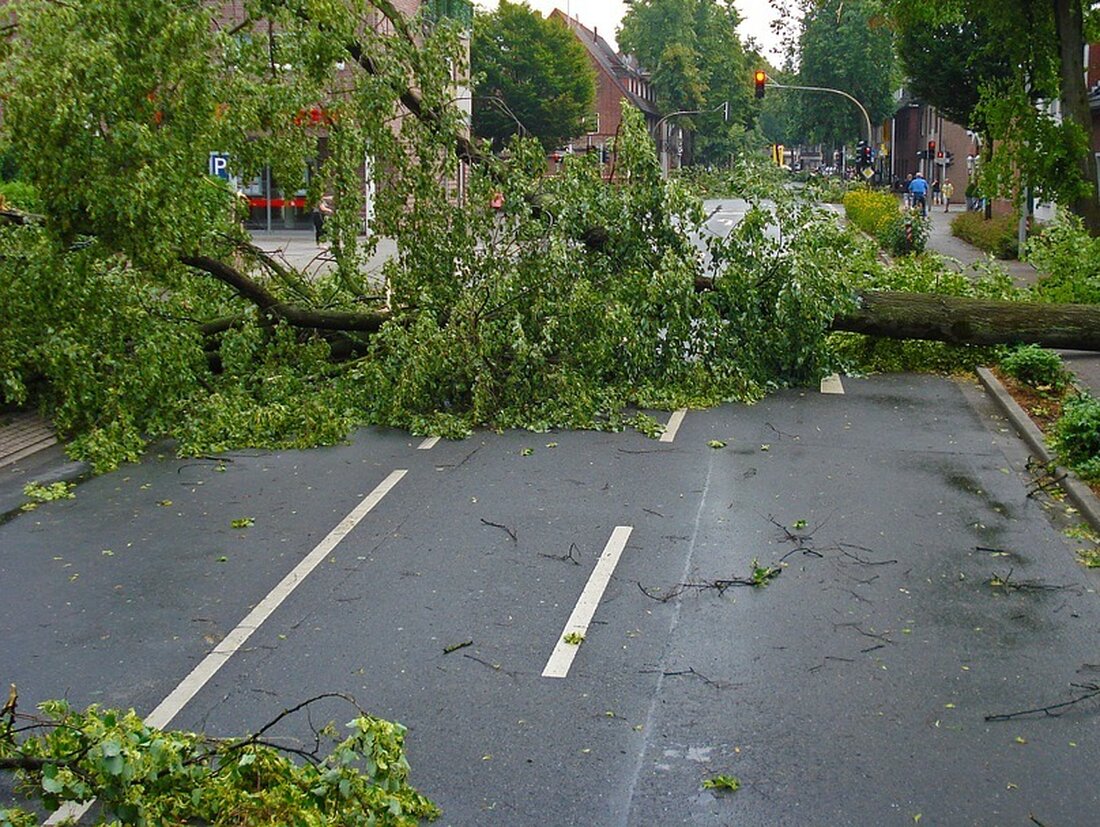 Nordoberpfalz. In der Nacht wird es stürmisch in der nördlichen Oberpfalz. Der Deutsche Wetterdienst warnt vor Orkanböen. 