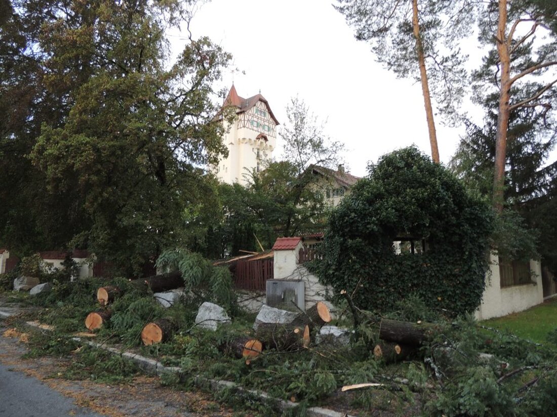 Grafenwöhr. Der Sturm am Sonntagabend gab den Blick auf Grafenwöhrs Wahrzeichen – den Wasserturm – unfreiwillig wieder frei. Eine 25 Meter hohe Fichte knickte im Garten der Forsthauses um, beschädigte [&hellip;]
