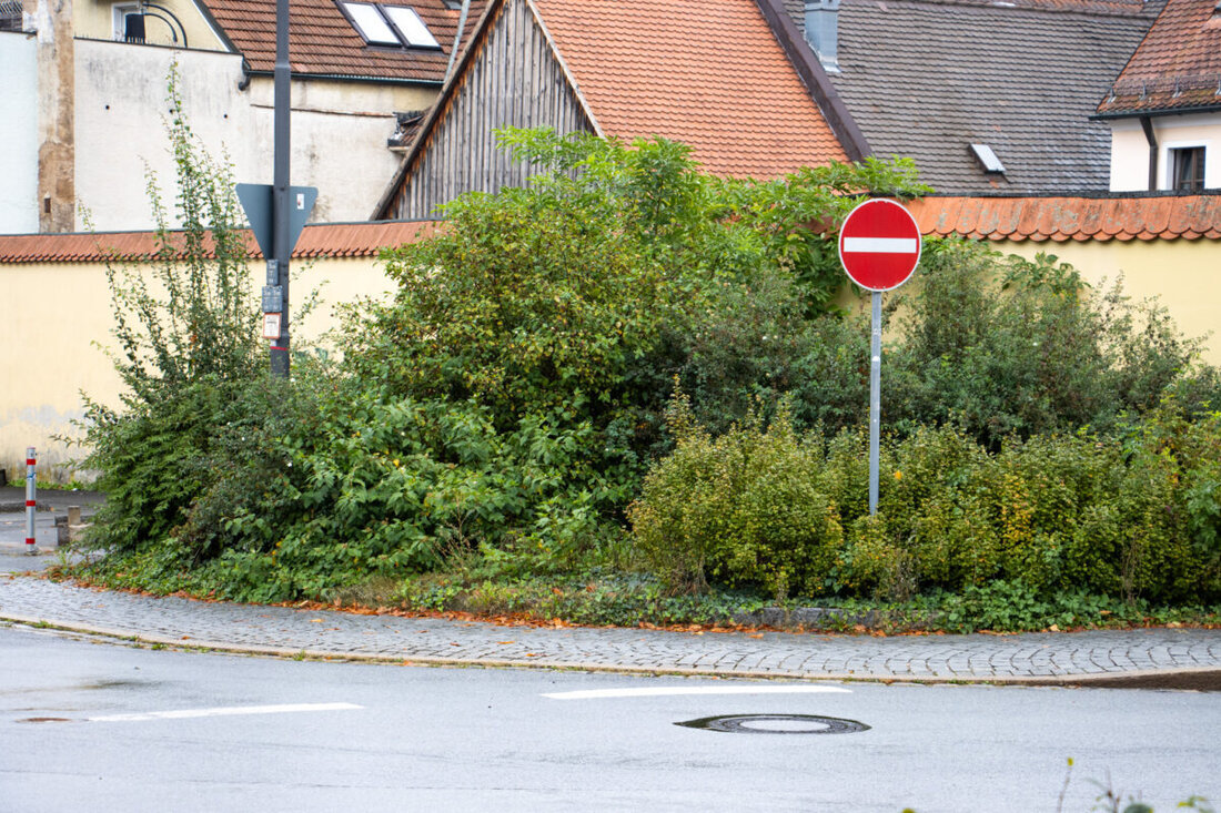 Friedenfels. Nach dem Diebstahl von zwölf Verkehrsschildern und mehreren Warnleuchten während des Herbstfestes in Friedenfels hat die Polizei eine neue Spur. Vier Männer wurden in der Nacht mit einem Verkehrsschild gesehen – einer von ihnen war nur mit Unterwäsche bekleidet.