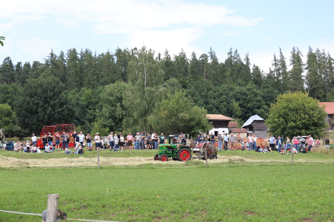 Nabburg. Am Sonntag, 26. Juli, lädt das Freilandmuseum Oberpfalz zum großen Tag der alten Landtechnik. Historische Geräte arbeiten wie einst, Vorführungen starten um 13 Uhr, dazu Kinderaktionen und Brotzeiten.