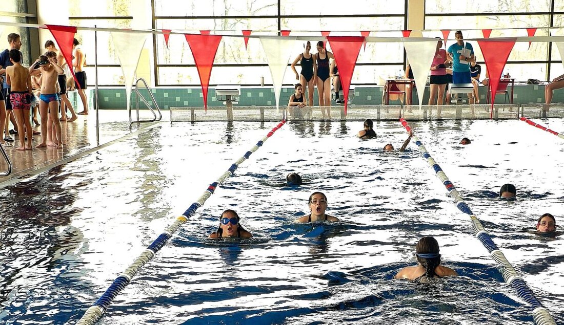 Weiden. Beim Kreisentscheid der Schulen im Realschulbad zeigten Schülerinnen und Schüler aus fünf Schulen in drei Wettkampfgruppen Tempo und starke Zeiten. Elf Mannschaften jubelten über Staffeln und schnelle 50 Meter Freistil.