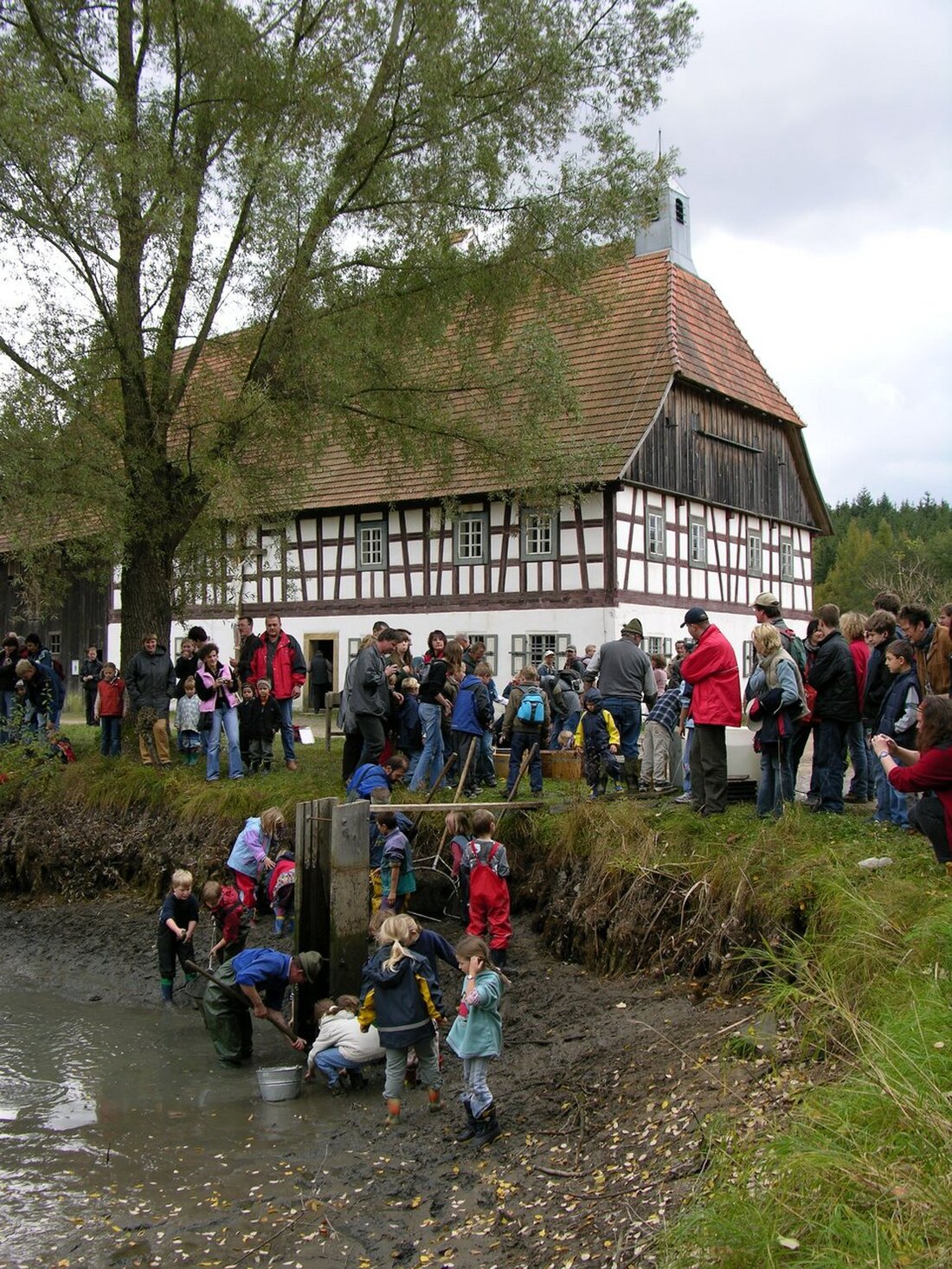Neuath-Perschen. Das Oberpfälzer Freilandmuseum läd am Sonntag, 11. Oktober zum Abfischen der Museumsteiche. An diesem Tag gibt es zudem viele Informationen zum Thema Handwerk früher und Handwerk im Museum. Die Museumshandwerker werden [&hellip;]