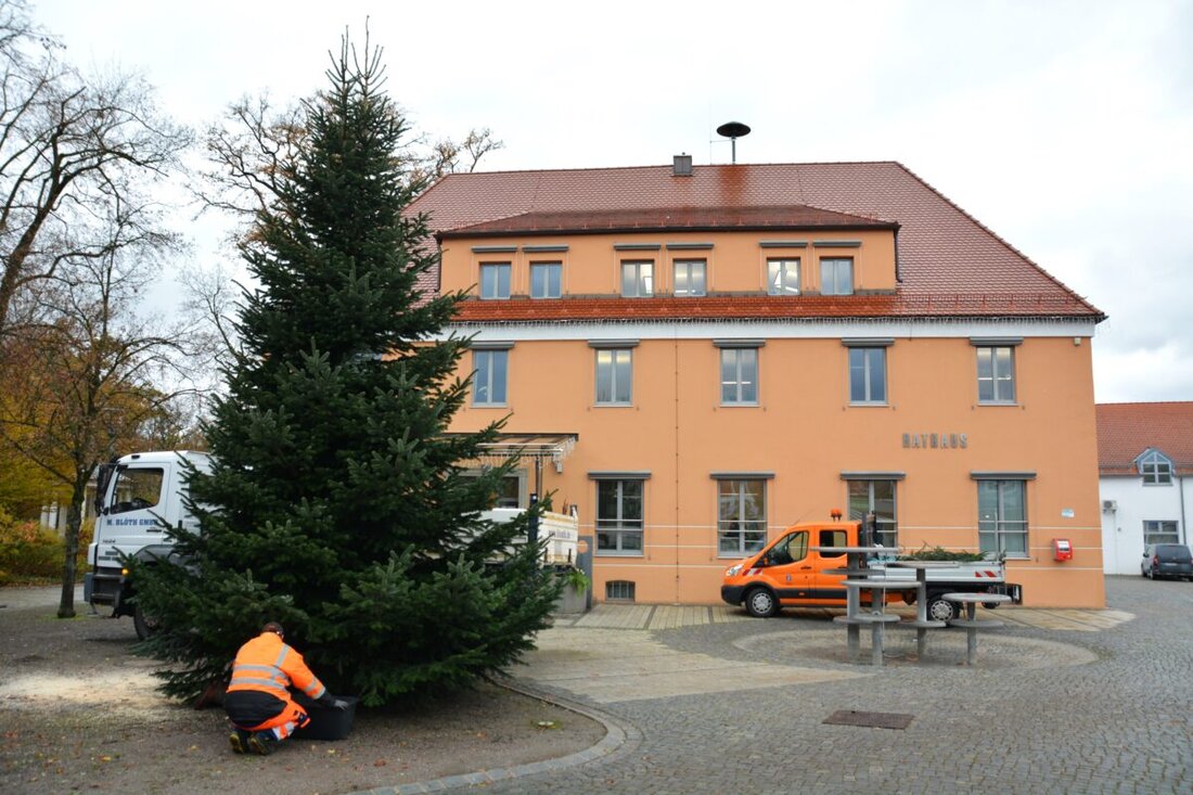 Teublitz. Ein acht Meter hoher Christbaum wurde vor dem Rathaus aufgestellt und wird bald weihnachtlich geschmückt, inklusive eines überdimensionalen Adventskranzes. Der Wochenmarkt verlegt seinen Standort vom 22. November bis 20. Dezember 2024 wegen des Baums zum Friedhofsparkplatz.