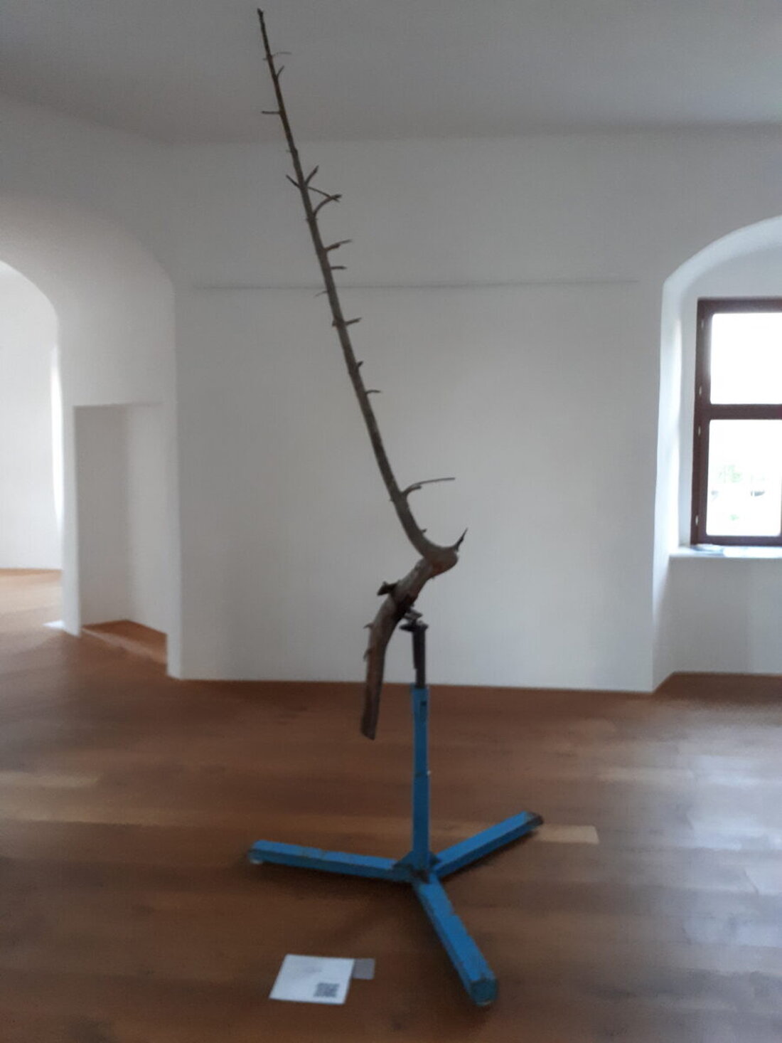 Weiden. Die klimaneutrale Kunstausstellung & Intervention "Solarpunk" startet am 30. Mai 2025 mit einer Vernissage und bietet am Wochenende Dialog und veganen Brunch. Solarpunk zielt auf eine nachhaltige Zukunft ab und umfasst diverse öffentliche Veranstaltungen.