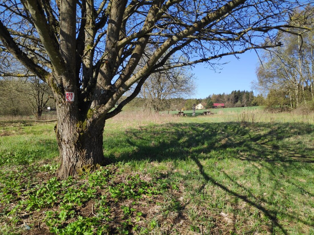 Paulusbrunn. Am Samstag, 30. Mai 2026, startet ab 14.30 Uhr ein Aktionstag im Gedenken an Alfred Wolf. Fünf Themenwanderungen zeigen Geschichte, Natur und Sagen des Grenzstreifens. Anmeldung bis 28. Mai.