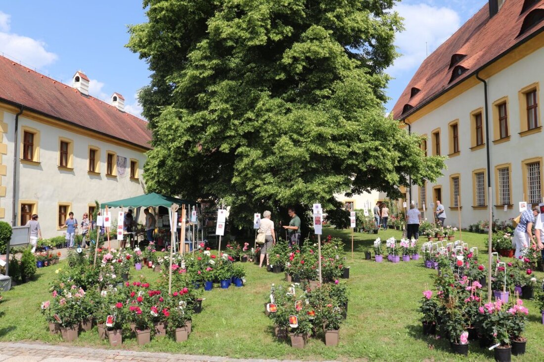Tirschenreuth. Der Förderverein Fischhofpark veröffentlicht sein Jahresprogramm 2025, das Serenaden-Abende, ein Oktoberfest und weitere Veranstaltungen umfasst. Zusätzlich ist eine Busfahrt zur Landesgartenschau geplant.