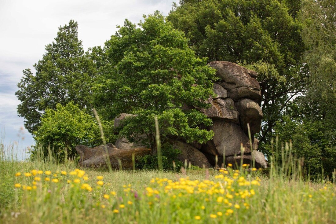 Weiden. Endlich wieder die Natur genießen und die Seele baumeln lassen. Durch die vielseitigen Touren vom Oberpfälzer Wald kannst du die Natur hautnah erleben.
