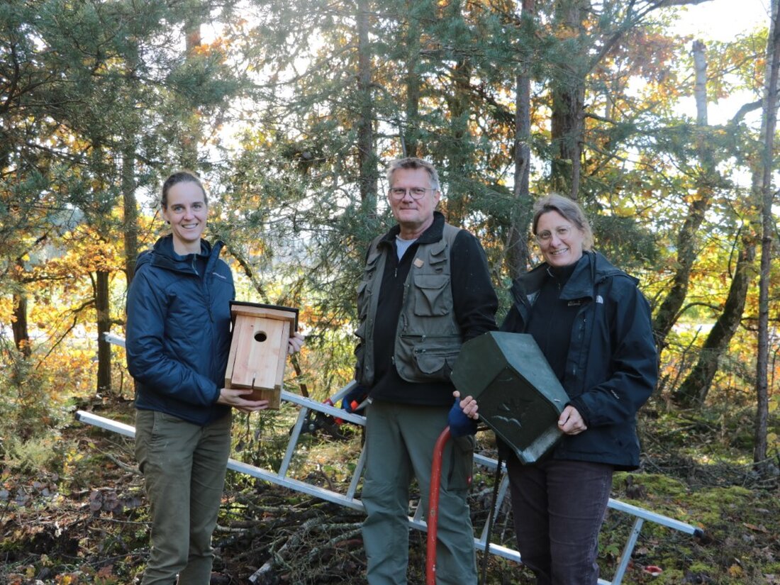 Schwandorf. Ein Projekt zur Aufhängung von 30 Nistkästen fördert im Landkreis Schwandorf den Schutz und die Population von Fledermäusen und Vögeln. Finanziert durch die Untere Naturschutzbehörde, kamen die Kästen in der Tongrube in Weiherdorf zum Einsatz.