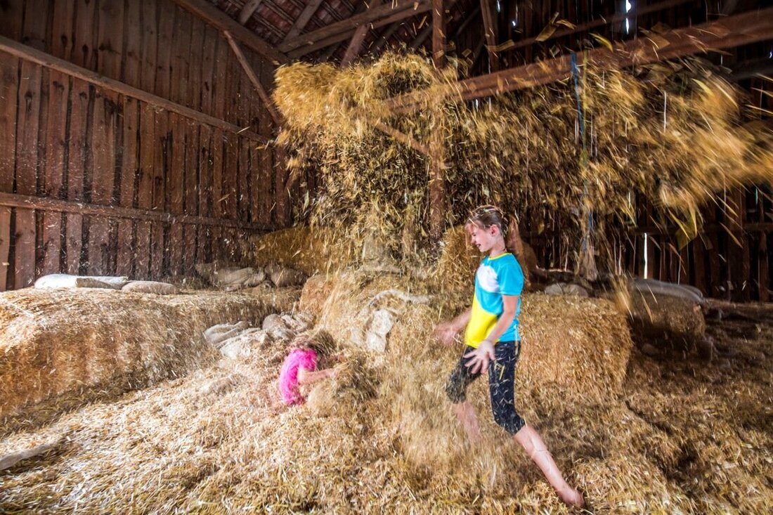 Tirschenreuth. Attraktive Bilder sind das A und O im Tourismus – egal ob auf Prospekten, auf der Homepage oder in den sozialen Medien. Da der Oberpfälzer Wald besonders für Familien ein ideales [&hellip;]