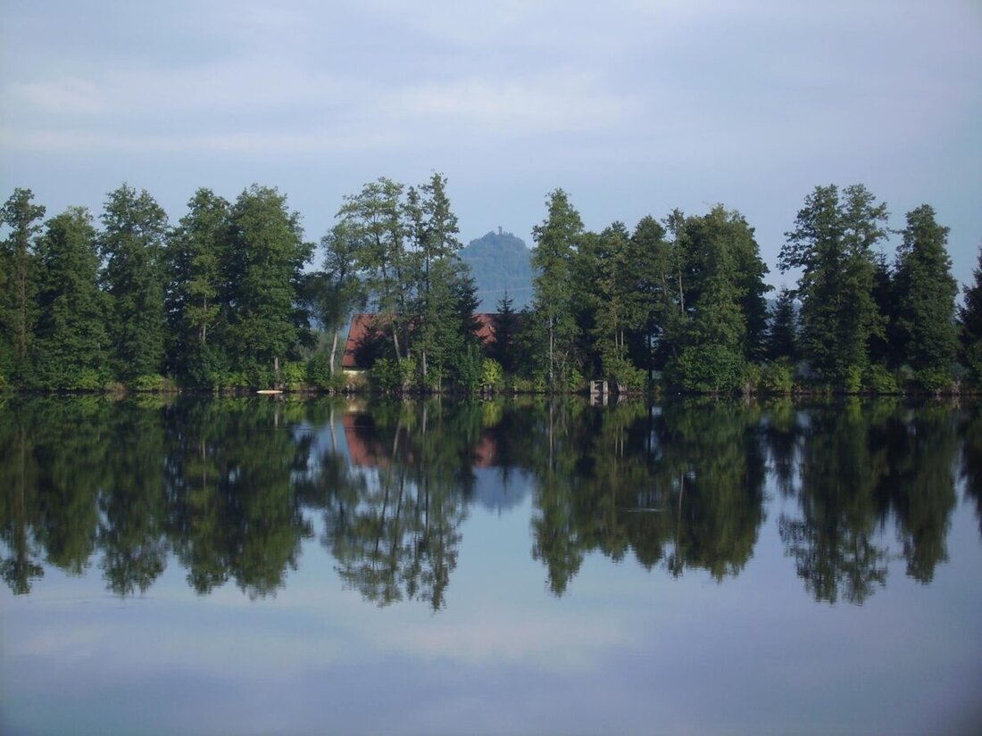Trabitz. Die Sanierung des Trabitzer Mühlweihers könnte bis zu einer Million Euro kosten, doch eine vollständige Baumrodung am Damm ist nicht zwingend nötig. Fördermittel sind unwahrscheinlich, da hauptsächlich Acker- und Wiesenflächen von Überflutungen betroffen wären.