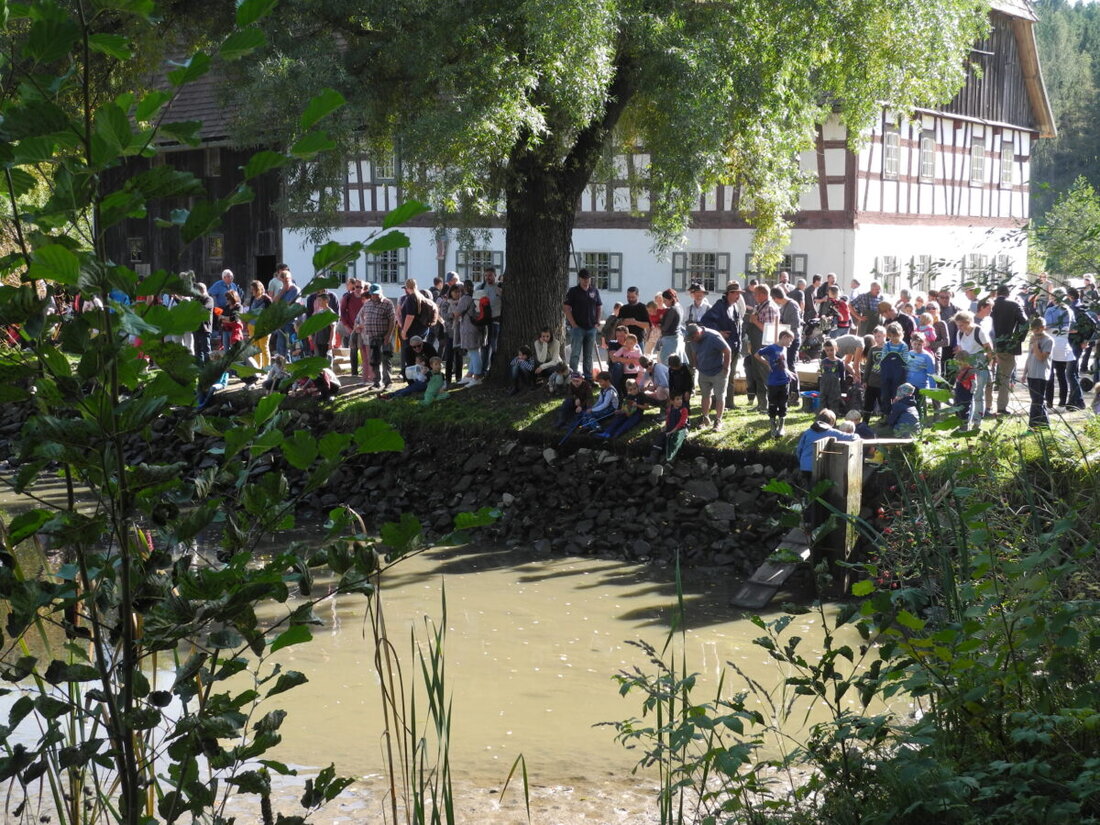 Nabburg. Im Freilandmuseum Oberpfalz ist am 12. Oktober Abfischen am Mühlenteich mit Führungen um 11 Uhr und 14 Uhr, Start um 13 Uhr, dazu Basteln und Oberpfälzer Fischschmankerl.