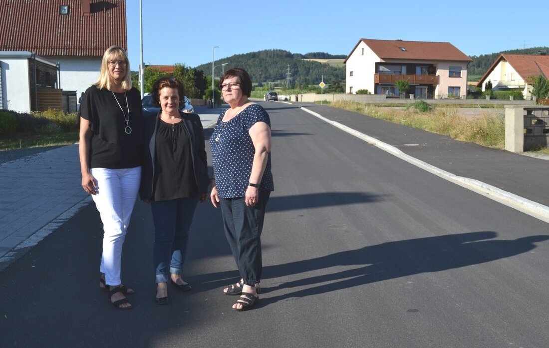 Bechtsrieth/Trebsau. Was klingt wie ein Schauermärchen, ist für 53 Trebsauer Familien bittere Realität: Sie müssen als Anlieger für einen Straßenausbau bis zu 76.000 Euro bezahlen. Eine Bürgerinitiative wehrt sich gegen [&hellip;]