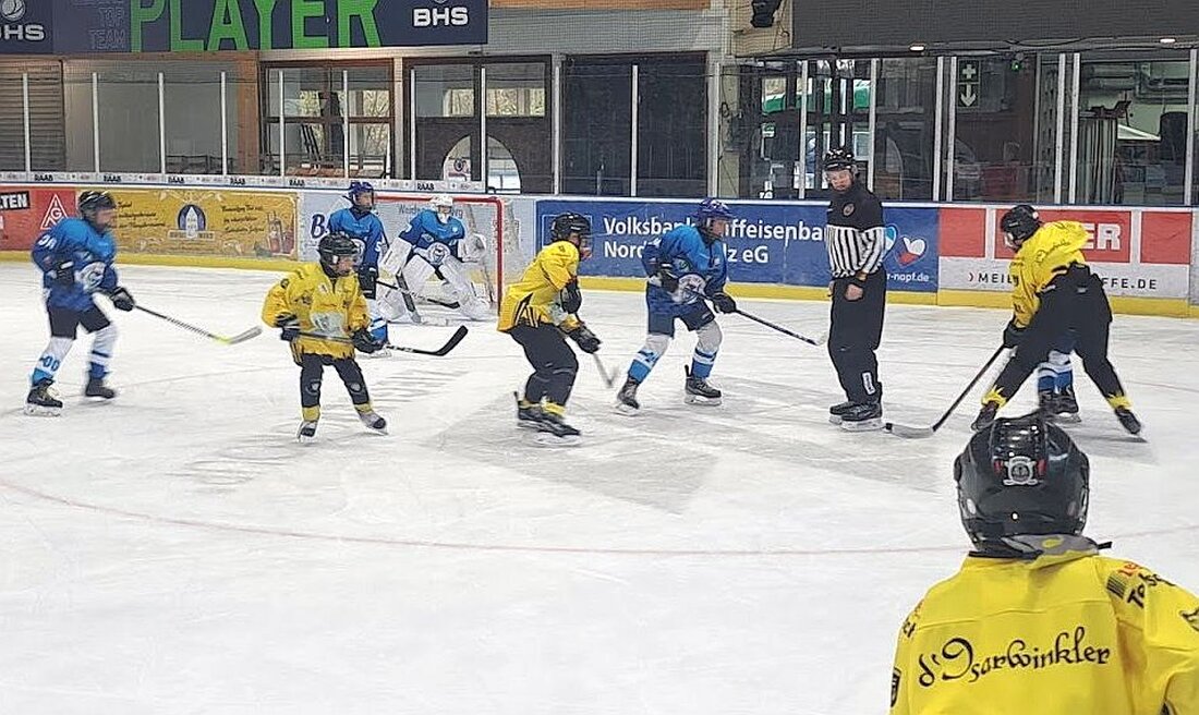 Weiden. Es war ein bärenstarkes Wochenende für den Nachwuchs der Blue Devils- zehn Spiele, tolles Eishockey und einige überraschend deutliche Erfolge für Junioren, Jugend und Knaben.