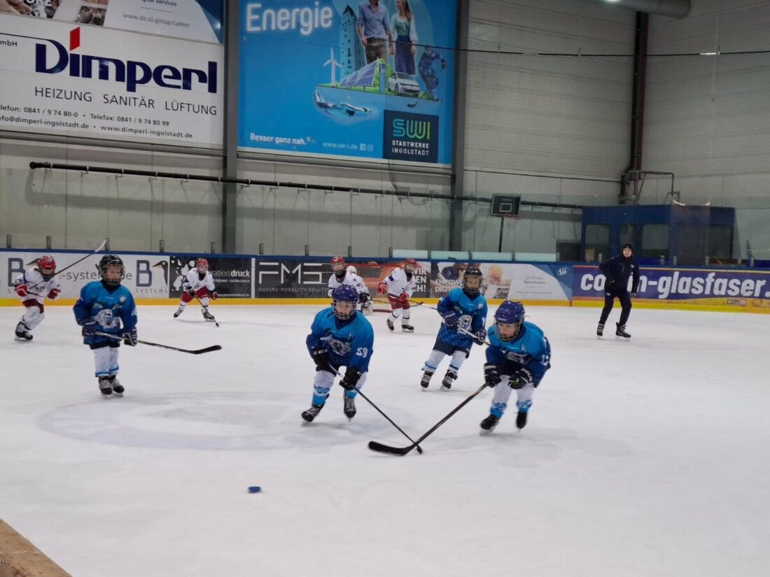 Weiden: Die Jugend der Young Blue Devils bleibt weiter an der Spitze der Tabelle in der Meisterrunde. Die Junioren gehen mit Heimrecht in erster Play-Off-Runde.