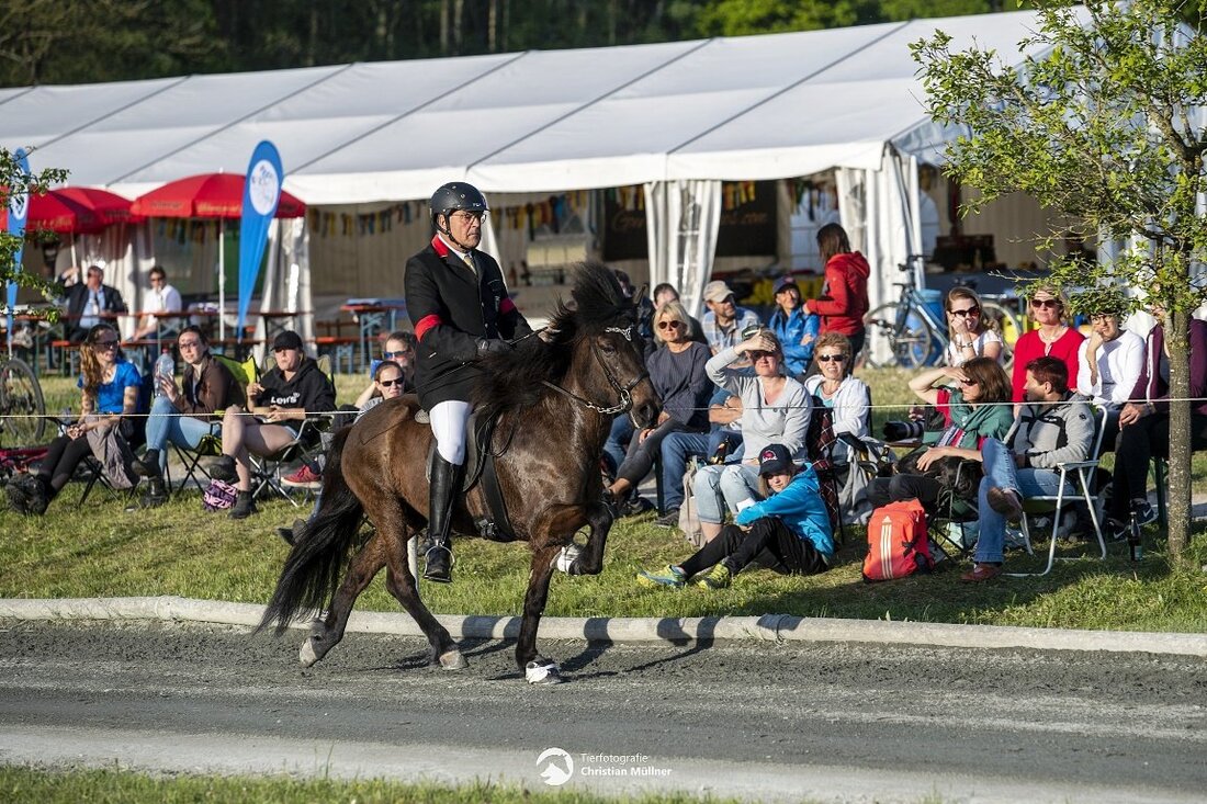 Wurz. Die Bayerischen Meisterschaften der Islandpferde fanden dieses Jahr in Hammersdorf auf dem Pferdehof Menzinger bei Erding statt. Dabei holte das Team vom Lipperthof nicht nur zahlreiche Titel nach Wurz, Irene [&hellip;]