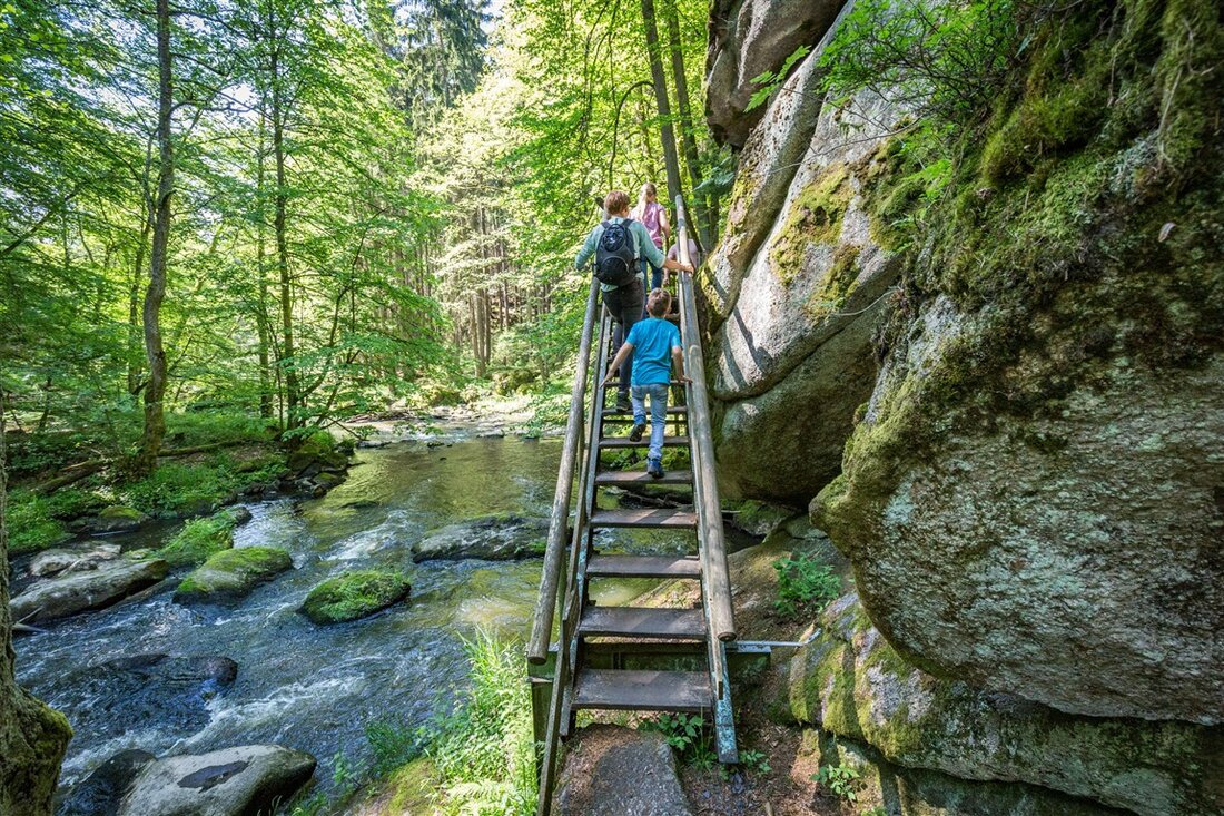 Tirschenreuth. Die Online-Befragung der Tourismusgemeinschaft Oberpfälzer Wald mit über 1.100 Teilnehmenden zeigt große Verbundenheit, mehr Lebensqualität und steigende Web-Nutzung. Viele wünschen sich mehr Gäste.