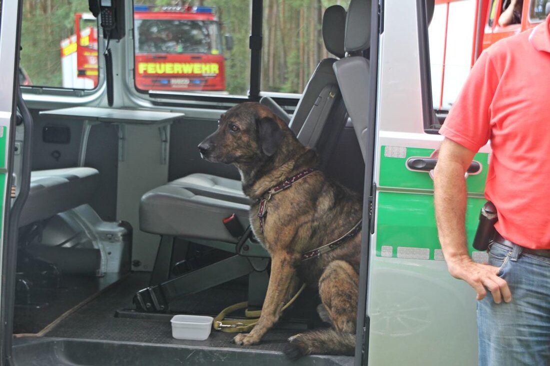 Penzenreuth/Kirchenthumbach. Schon seit Dienstagnachmittag war Ewald F. (79) samt Hund Snoopy nun verschwunden. Jetzt ist es den Einsatzkräften gelungen den Rentner und Hund wiederzufinden. Beiden geht es den Umständen entsprechend.  Der Enkel [&hellip;]