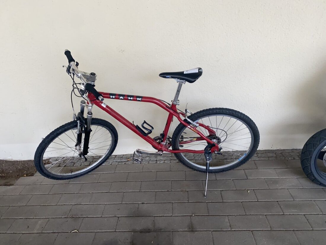 Schwandorf. Zwei polizeibekannte Verdächtige hantierten am Donnerstag um 14.30 Uhr vor dem Rathaus an einem versperrten BMX-Kinderfahrrad, wobei ein Mitarbeiter der Stadt sie minutenlang filmte. Die Polizei sucht den Eigentümer.