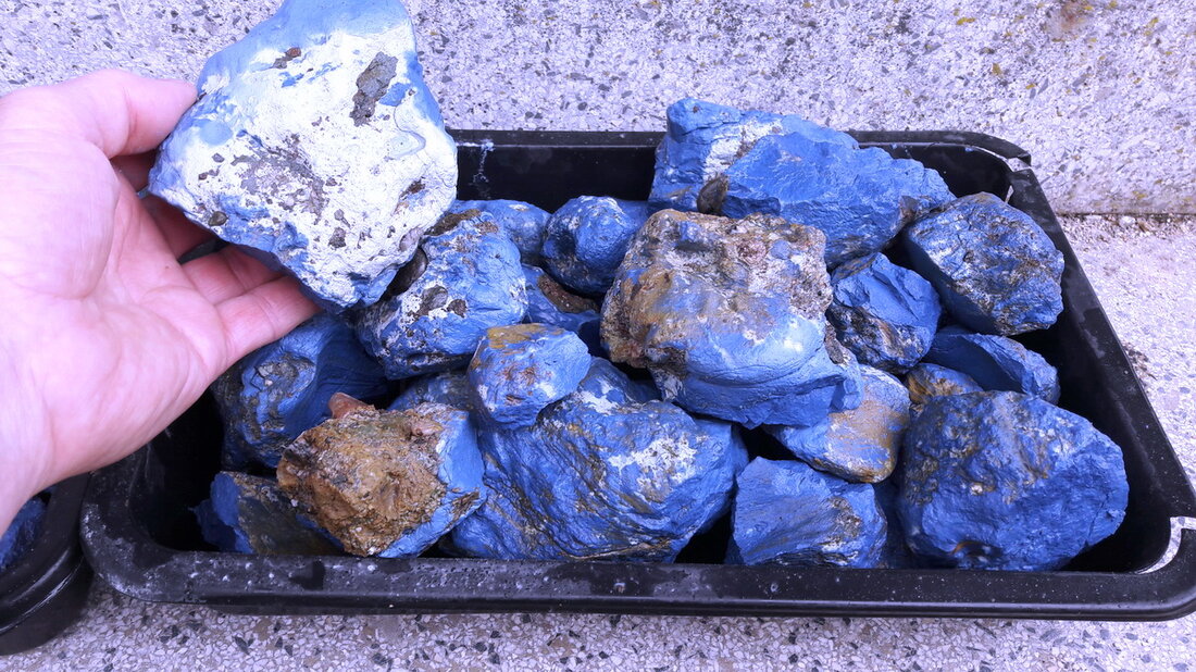 Erbendorf. Bemerkenswerte Vivianit-Funde aus dem Hessenreuther Wald bereichern nun die Sammlung des Heimat- und Bergbaumuseums. 