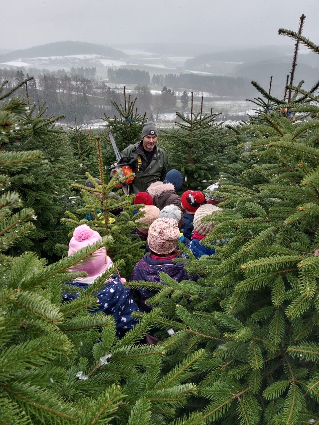 Döllnitz. Vorschulkinder des Kindergartens St. Johannes suchten auf dem Christbaumhof Kammerer ihren Adventsbaum. Nach Führung von Bernhard Kammerer fiel die Wahl auf einen über zwei Meter hohen Baum, den 15 Kinder schmücken.