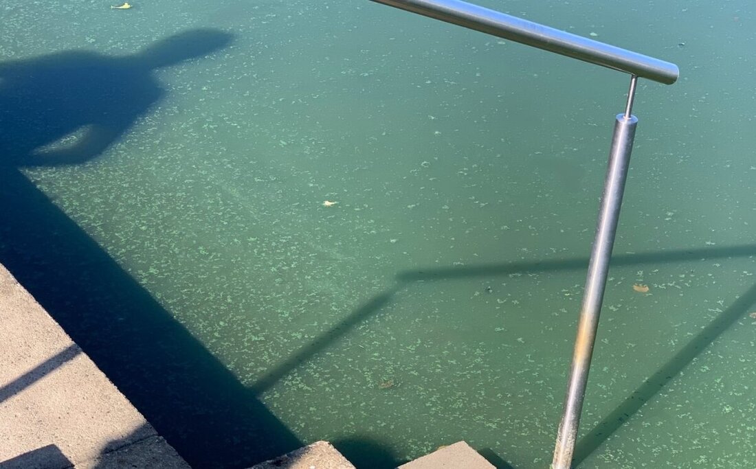 Eschenbach. Wegen erhöhter Blaualgen hat der Landkreis ein vorsorgliches Badeverbot für den Rußweiher verhängt, das Gesundheitsamt rät vom Baden ab. Am Großen Dießfurter Weiher gibt es Entwarnung, am Kleinen bleiben Warnhinweise.