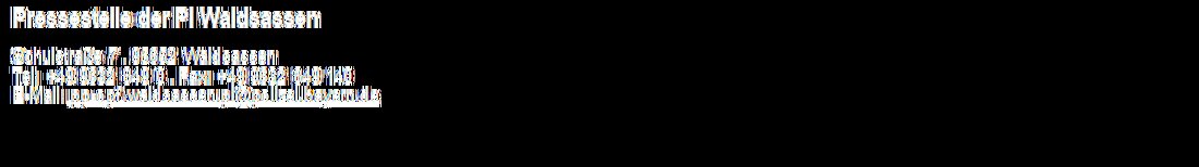 Waldsassen. Beamte fanden bei zwei Jugendlichen verbotene Waffen bei der Einreise aus Tschechien und leiteten Ermittlungsverfahren ein.