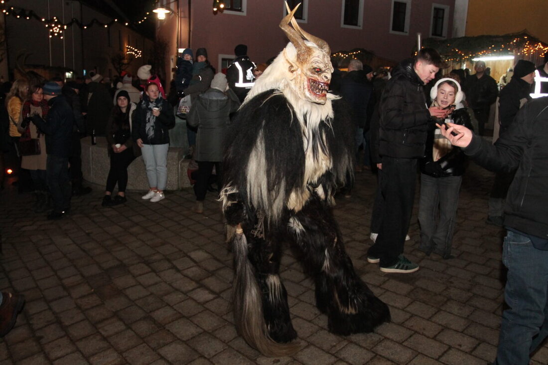 Waidhaus. Das vierte Heimatfest endete mit einem Adventsmarkt am 1. Dezember, gelobt von Bürgermeister und Organisator als voller Erfolg. Höhepunkt war der Fackelzug und die Feuershow von "Ameno Signum".