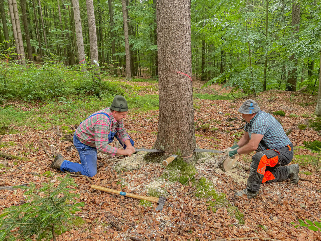 Hessenreuth. Die kleine Ortschaft Hessenreuth, tief eingebettet im gleichnamigen Wald zwischen Pressath und Erbendorf, gehört seit jeher zur Pfarrei Kastl. Wenn am 14. September in Kastl wieder der große historische Erntedankzug durch das Dorf zieht, ist es für die Hessenreuther selbstverständlich, mitzuwirken – wie schon bei den Festzügen vergangener Jahrzehnte.