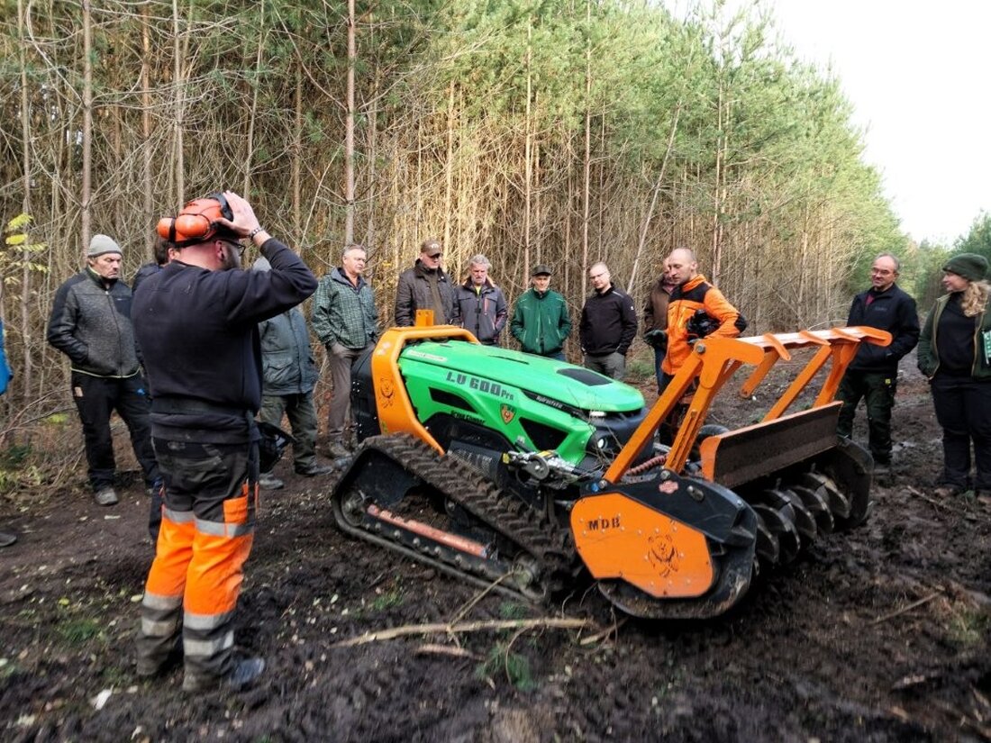 Maxhütte-Haidhof. Bei einer Waldbegehung am Rohrhofweiher erklärten Fachleute, wie Pflegepfade und das Freistellen vitaler Kiefern junge Bestände stärken. Ziel ist ein stabiler, zukunftsfähiger Stadtwald.