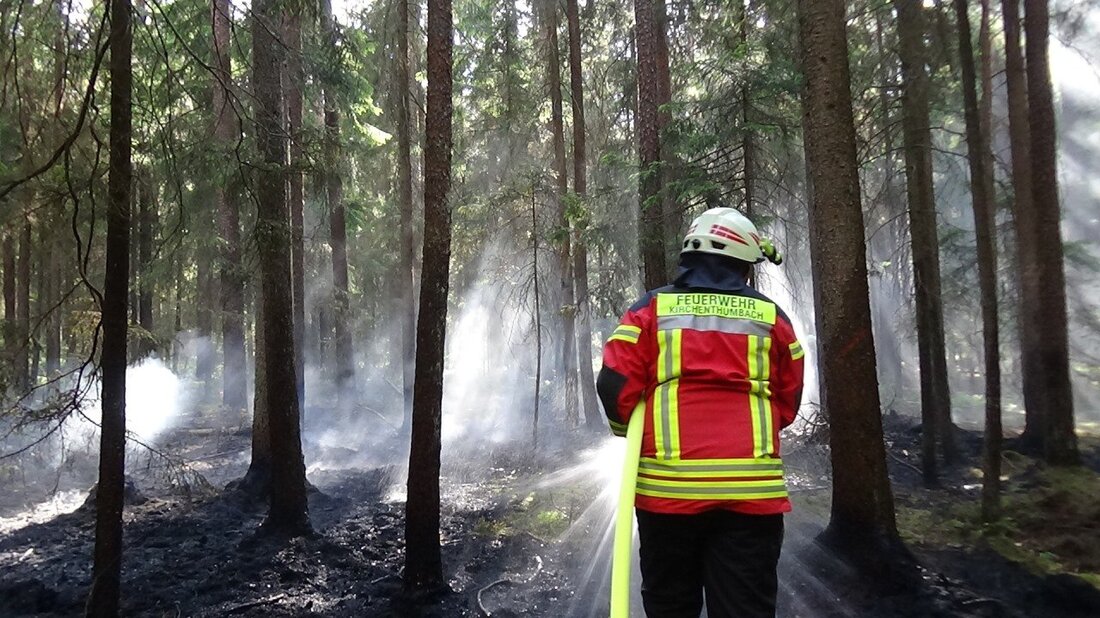 Leonberg. Zum Glück handelte der Baggerfahrer geistesgegenwärtig, sodass der Wald verschont blieb. 