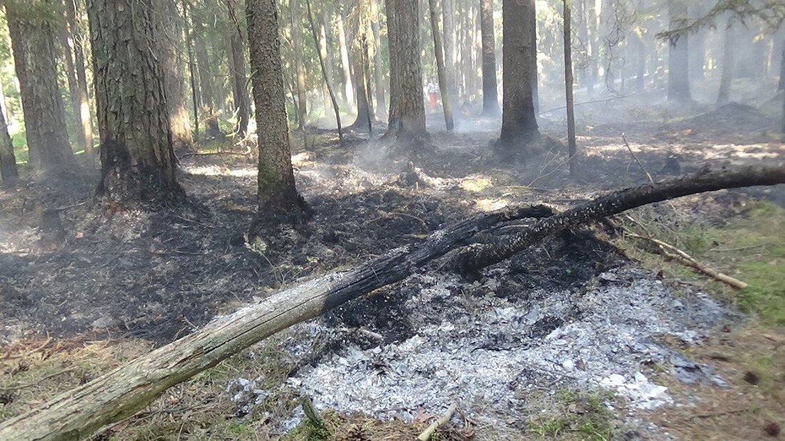 Oberpfalz. Aufgrund hoher Waldbrandgefahr werden vom 21. bis 23. Juni Luftbeobachtungsflüge in der Oberpfalz durchgeführt.