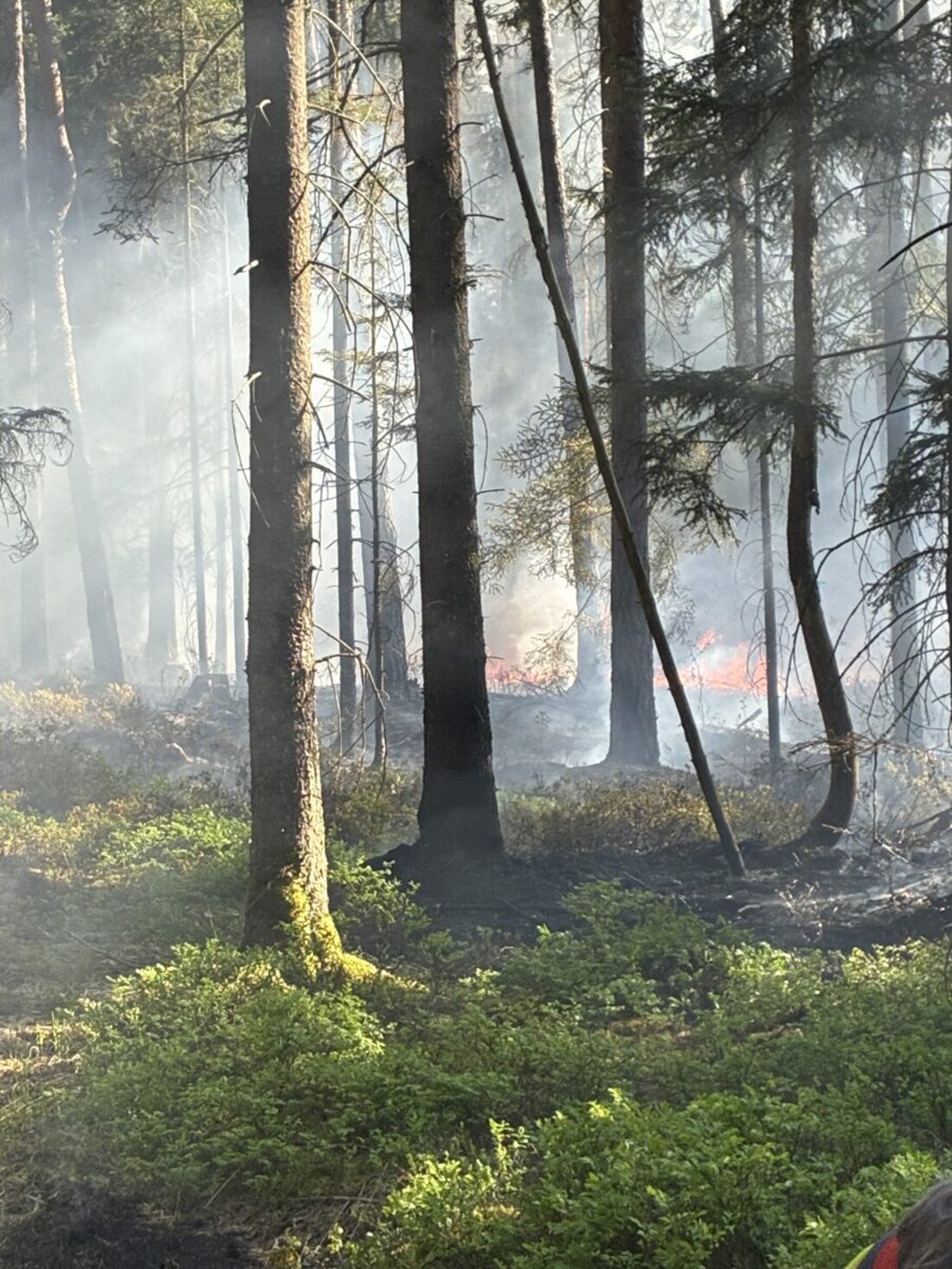 Bodenwöhr. Im Taxöldener Forst brannten rund 800 Quadratmeter Wald am 2. Mai gegen 16.45 Uhr; starke Rauchentwicklung war von der B85 sichtbar. Rund 200 Einsatzkräfte löschten das Feuer bis 19.20 Uhr, verletzt wurde niemand.