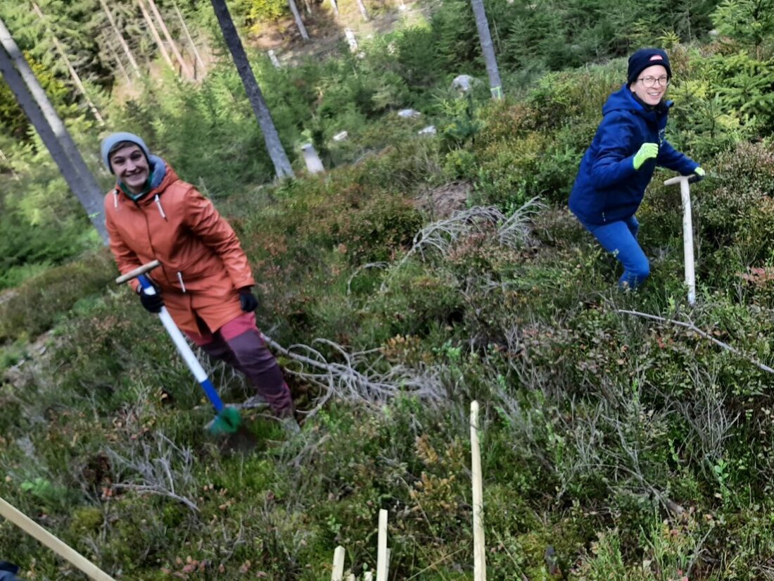 Bärnau. Rund 20 Frauen und neun Kinder trafen sich zum Waldfrauentag. Sie pflanzten Lärche, Douglasie, Buche und Tanne und lernten Waldumbau und Förderung kennen. Kinderbetreuung erleichterte die Teilnahme und eine Fortsetzung ist geplant.