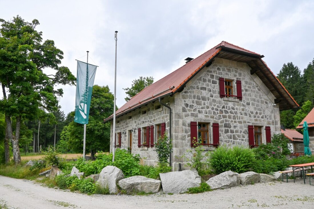 Erbendorf. Am Sonntag, den 7. September 2025, laden die 17 Mitgliedsgemeinden der Steinwald-Allianz
herzlich zum 15. Waldhausfest im Steinwald ein. Die traditionsreiche Veranstaltung
verspricht wieder einen erlebnisreichen Tag für die ganze Familie – mit
Musik, Natur, regionalem Genuss und spannenden Mitmachaktionen.