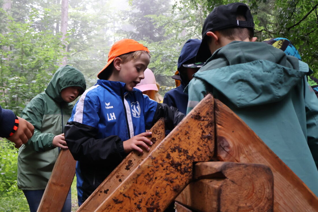 Erbendorf. Der Wald als Klassenzimmer: Für rund 230 Drittklässler aus zehn Schulklassen des Landkreises Tirschenreuth stand vergangene Woche nicht Mathe oder Deutsch auf dem Stundenplan, sondern Teamarbeit, Naturerlebnis und praktisches Lernen – bei den Waldjugendspielen 2025 in Pfaben.