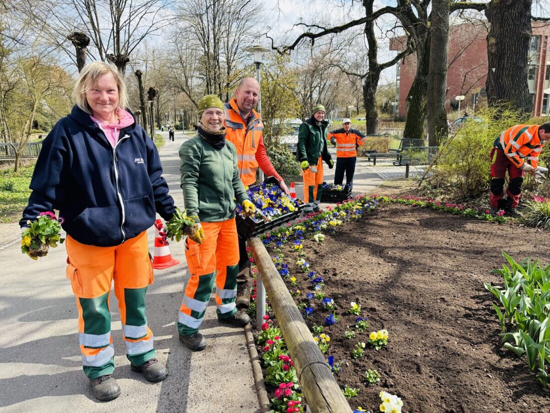 Weiden. Die Stadtgärtnerei bepflanzt Weiden mit 15.000 Stiefmütterchen und tausenden weiteren Blumen, um ein blühendes Stadtbild zu schaffen. Die Arbeiten sollen nächste Woche abgeschlossen sein.