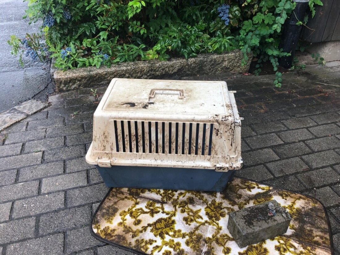 Weiden. Eine tote Katze wurde im Stadtmühlbach, beschwert mit einem Betonstein in einer Transportbox, entdeckt; vermutlich ertränkt. Die Stadt bittet um Hinweise zur Tat, die nach dem 19.07. begangen sein müsste.