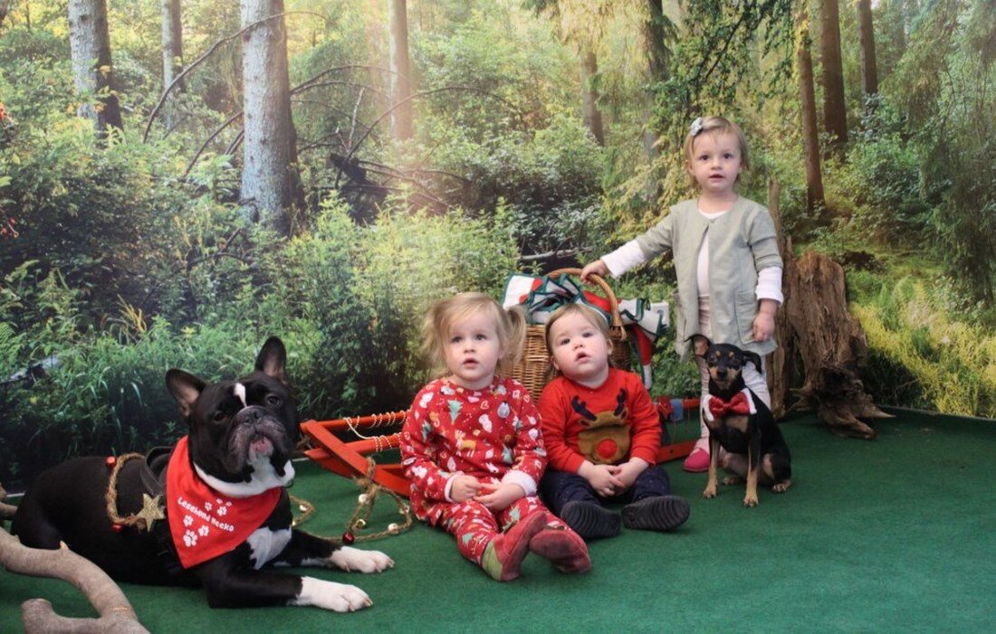 Weiden. Ein Nikolausfest der besonderen Art feierte die Johanniter-Kinderkrippe “KiWitt” in Weiden. Denn die Geschenke brachte an diesem Tag nicht der Nikolaus vorbei – sondern die Lesehunde der Einrichtung. Wozu [&hellip;]