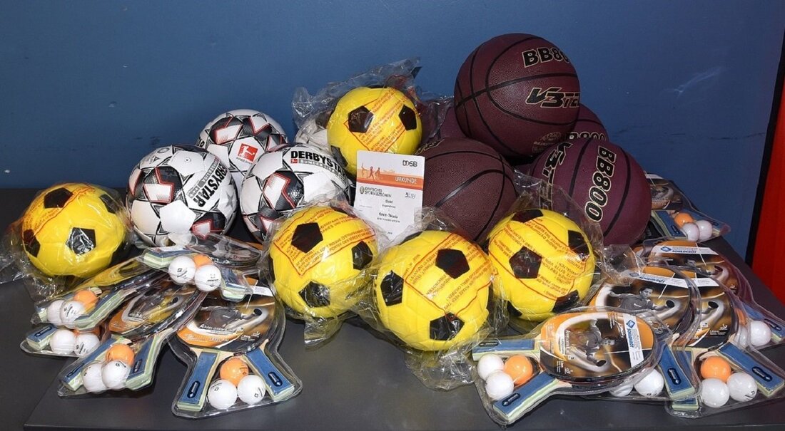 Schwandorf. Am Mittwoch, 5. August 2026, ab 16 Uhr lädt das 16. Bambini-Sportfest im Sepp-Simon-Stadion Kinder von zwei bis sieben Jahren zum Mitmachen ein. Moderiert wird von Armin Wolf, Ehrengast ist Handballerin Sophia Peter.