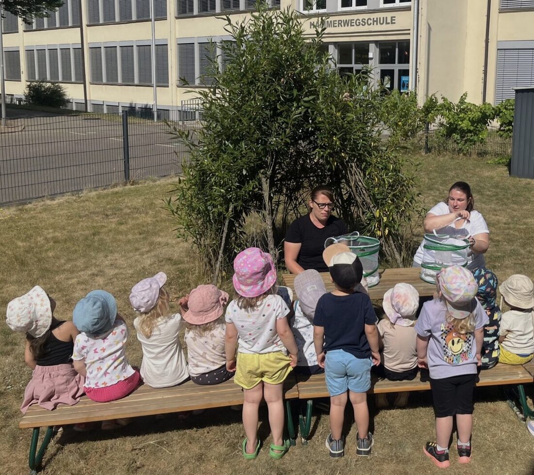 Weiden. Die Johanniter-Kinderkrippe „Farbpiraten“ züchtet seit vergangener Woche Schmetterlinge und Marienkäfer, nach einer Spende vom Elternbeirat.
