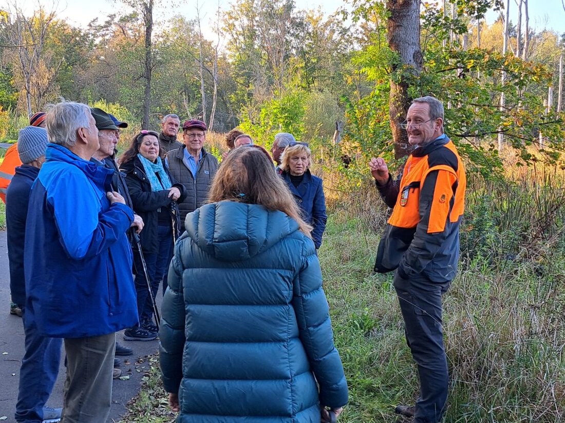 Weiden. Zwölf Stadträte nahmen an der jährlichen Waldbegehung teil, um Herausforderungen der Waldbewirtschaftung zu diskutieren. Thematisiert wurden Austrocknung, Umrüstung von Nadel- zu Laubwald und Biberaktivitäten.