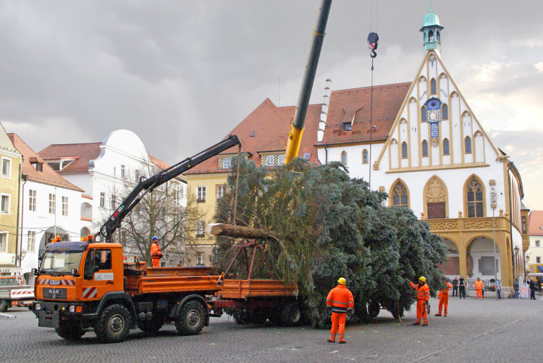 Amberg. Die Stadt sucht wieder stattliche Weihnachtsbäume für Marktplatz und Malteserplatz: bevorzugt 15 bis 20 Meter hoch, mit schöner Krone und gut zugänglichem Standort. Bewerbungen mit Bild an Gruenplanung@Amberg.de.