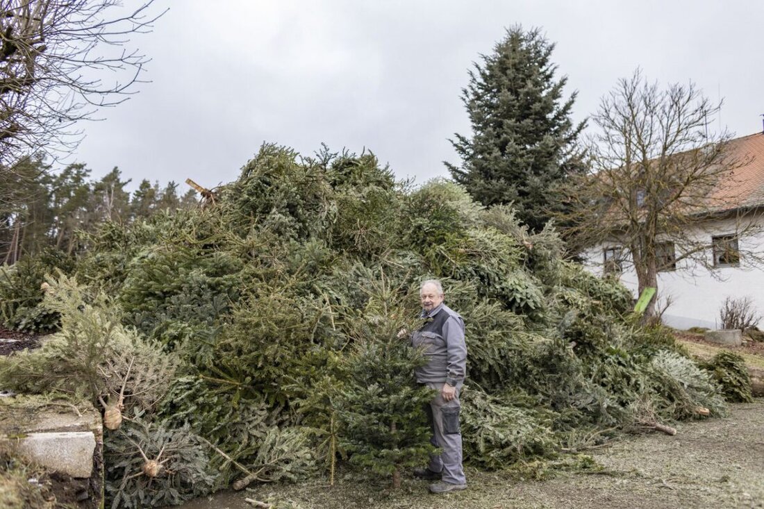 Nordoberpfalz. Weihnachten ist schon lange vorbei und der Christbaum hat ausgedient. Doch was geschieht mit deinem Christbaum nach den Festtagen? Das wollen wir in unserer heutigen Sonntagsfrage wissen!