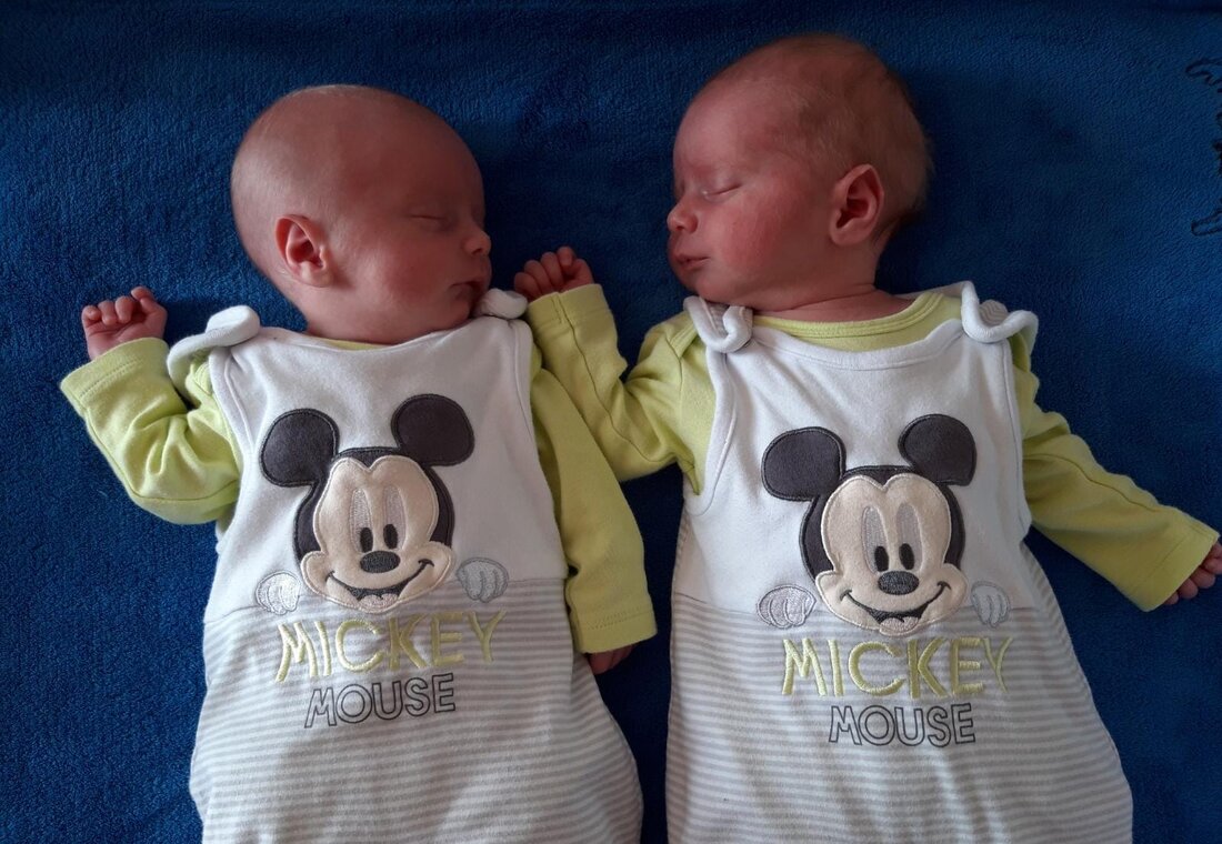 Weiden. Herzlich Willkommen auf der Welt! Diese kleinen Neu-Nordoberpfälzer erblickten in den vergangen Wochen das Licht der Welt. 25.03.2020 Celine Ahmed, Eltern: Arazoo Dara Mohammed Mohammed und Arsar Abdalla Ahmed [&hellip;]