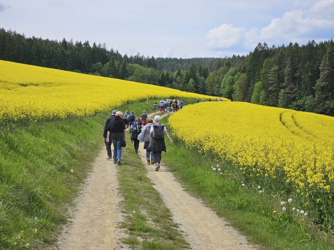 Georgenberg. Am Mittwoch startete die erste Wanderung des Wandersommers auf dem nun zertifizierten Glasschleifererweg mit 40 Teilnehmern. Die Route bot spannende Stationen und endete mit einem Festakt, wobei die nächste Wanderung am 10. Juni 2025 geplant ist.