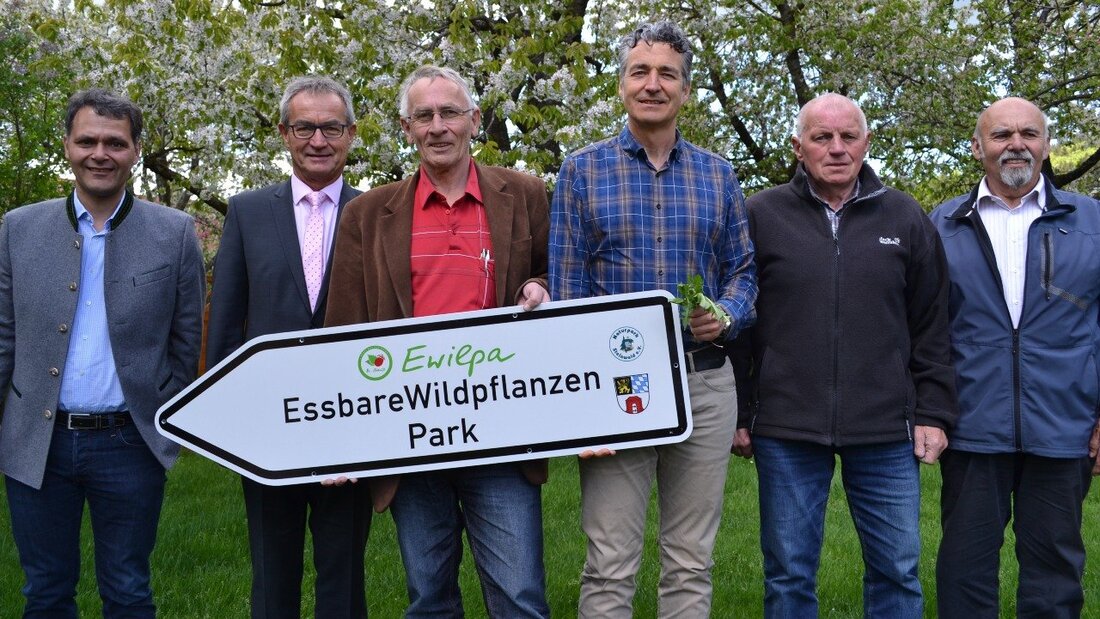Waldeck. In Waldeck entsteht der erste essbare Wildpflanzenpark (EWILPA) Deutschlands. Die Stadt Kemnath, der Naturpark Steinwald und der Heimat- und Kulturverein schufen unter Anleitung von Markus Strauß von der Stiftung [&hellip;]