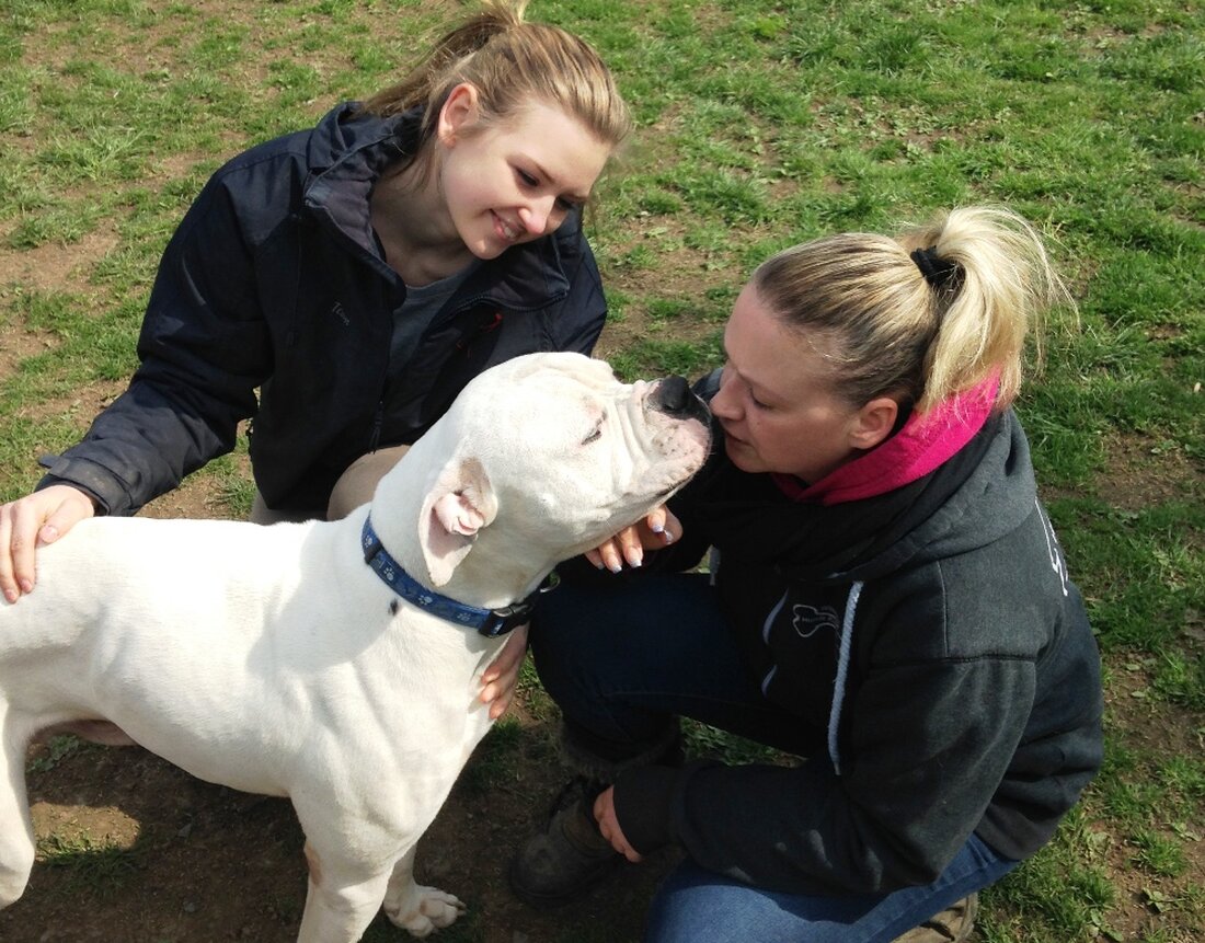 Leuchtenberg. Hundekindergarten, Hundeschule und -Pension für Übernachtungsgäste, das alles bieten die Wilsons, Henry und Vicky, auf ihrem 5.400 Quadratmeter großen Gelände in Michldorf bei Leuchtenberg. Das Besondere: Wilsons Hundekindergarten besteht aus [&hellip;]