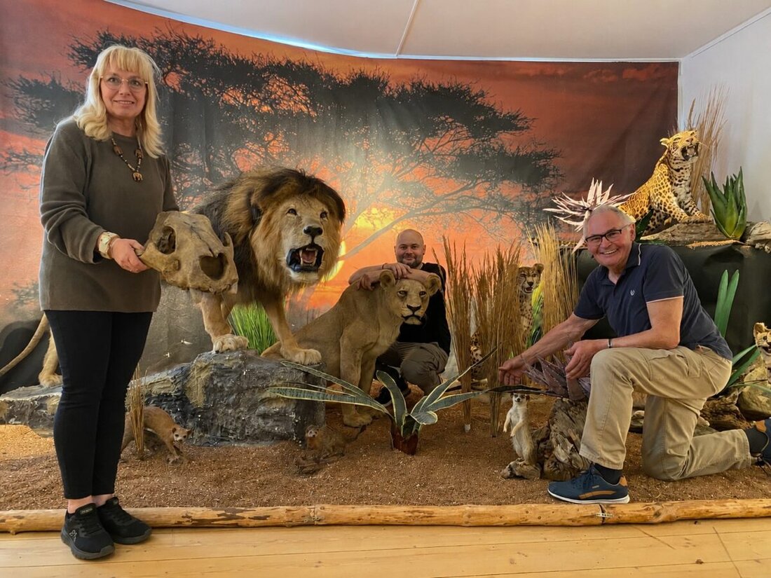 Schwandorf. Das Stadtmuseum eröffnet am Dienstag, 12. Mai 2026, um 19.30 Uhr die Doppelausstellung «Alles für die Katz – Jäger auf leisen Pfoten». Sie zeigt Biologie, Kulturgeschichte und Artenvielfalt der Katze.